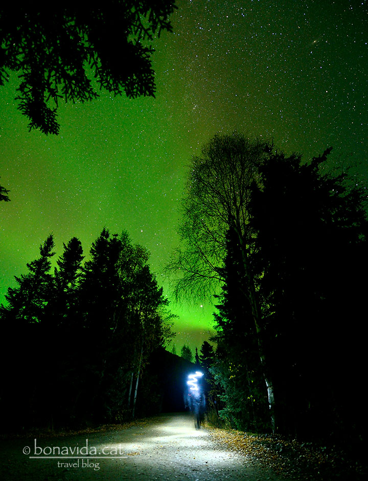 Caminar sota una Aurora, al mig del bosc, i sols... Una experiència irrepetible!